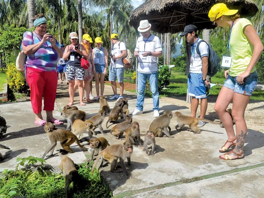 Tour Đảo Khỉ + Đảo Hoa Lan